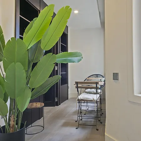 Ola Living Paseo De Gracia * برشلونة
