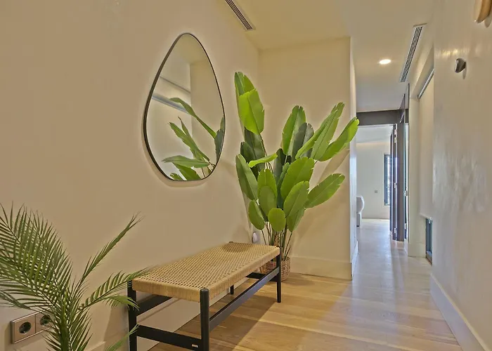 Ola Living Paseo De Gracia * Barcelona